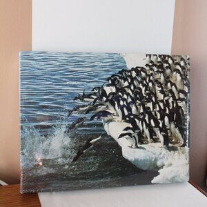 Penguin Plunge 500 pcs Springbok Puzzle Hallmark